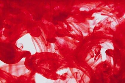 Everdye