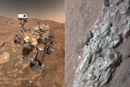 Mars Rock Sign of Life