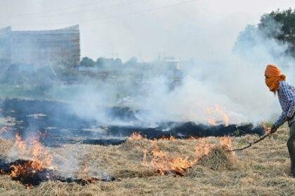 A farmer burns straw stubble after a harvest in a paddy field on the outskirts of Amritsar.(AFP/File Photo)