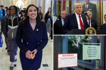 AOC resorting to 'baseless hysteria' over stalled stopgap funding bill to score donations: White House