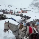 Villagers with oxen and horses ascend during rescue efforts to reach hundreds of hikers trapped by heavy snow at tourist campsites on Mount Everest in Tibet on Sunday.