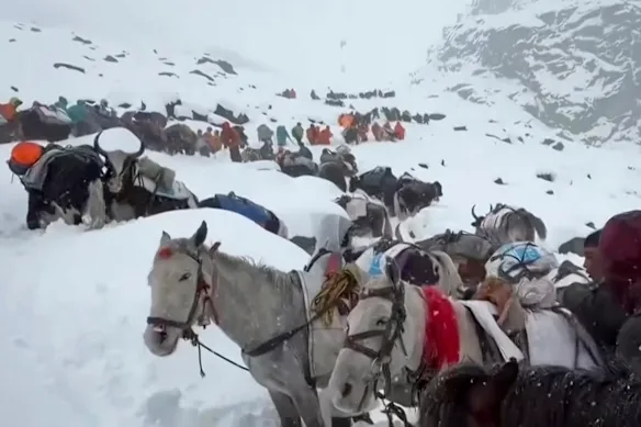 Villagers with oxen and horses ascend during rescue efforts to reach hundreds of hikers trapped by heavy snow at tourist campsites on Mount Everest in Tibet on Sunday.