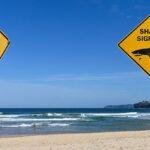 The man was bitten twice at the popular surfing spot
