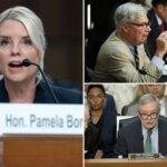 Pam Bondi lashes out at Senate Dems in contentious Judiciary panel hearing